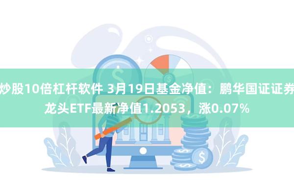 炒股10倍杠杆软件 3月19日基金净值：鹏华国证证券龙头ETF最新净值1.2053，涨0.07%
