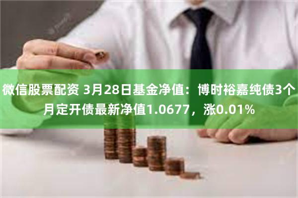 微信股票配资 3月28日基金净值：博时裕嘉纯债3个月定开债最新净值1.0677，涨0.01%