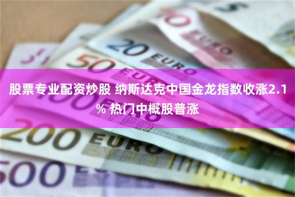股票专业配资炒股 纳斯达克中国金龙指数收涨2.1% 热门中概股普涨