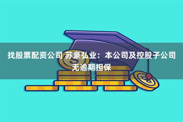 找股票配资公司 苏豪弘业：本公司及控股子公司无逾期担保