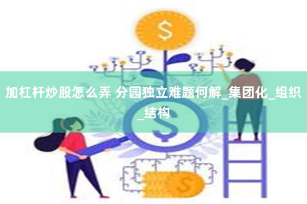 加杠杆炒股怎么弄 分园独立难题何解_集团化_组织_结构