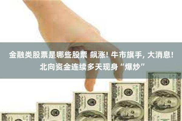 金融类股票是哪些股票 飙涨! 牛市旗手, 大消息! 北向资金连续多天现身“爆炒”