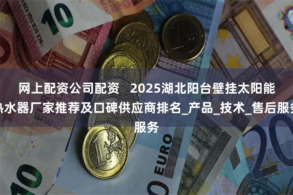 网上配资公司配资   2025湖北阳台壁挂太阳能热水器厂家推荐及口碑供应商排名_产品_技术_售后服务